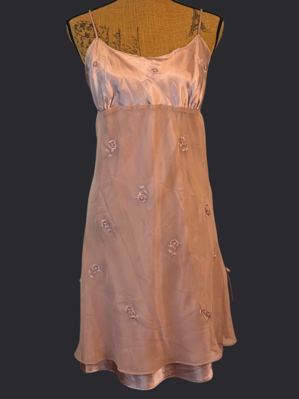 Vintage Fairycore Blush Pink Chiffon and Pearl Slip Dress Size XL